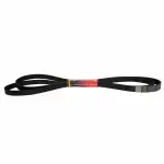 JK81353 - Cooling System: Motorcraftâ„¢ Serpentine Belt for Ford: F-250 Super Duty, F-350 Super Duty, F-450 Super Duty, F-550 Super Duty Image