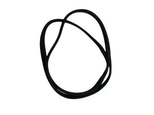 Body Weather-Strip - Ford (DT1Z-6125324-C)