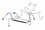 85635697 - : F Harness for GM Image