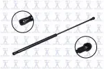 86755 - : Focus Auto Parts Hood Lift Support for Focus Auto Parts Image
