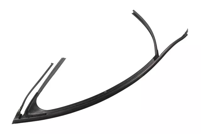 Front Passenger Side Door Window Weatherstrip - GM (84150966)