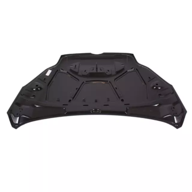 Hood Panel - Ford (CP9Z-16612-B)