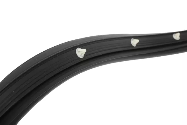 2020-2025 GM - Rear Passenger Side Door Weatherstrip - GM (84741730)