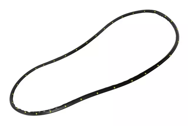 Front Driver Side Door Weatherstrip - GM (84136386)