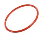 55506778 - : Fuel Pump Housing Seal for GM Image