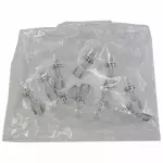 E6DZ13466B - Electrical: Backup Lamp Bulb for Ford Image