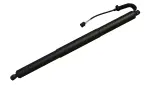 615184 - : Liftgate Lift Support for Tuff Support Image