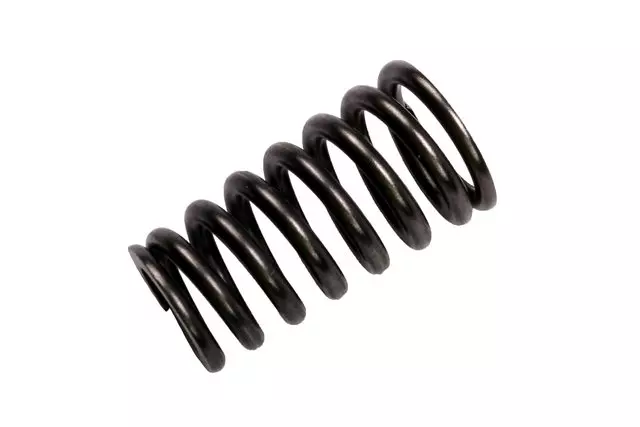 55567950 - Engine: Valve Springs for Chevrolet: Aveo, Aveo5 | Pontiac: G3 | Saturn: Astra Image