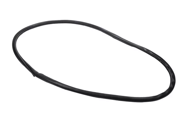 22895389 - Body: Weather-strip On Body for Cadillac: CTS Image