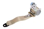 19168237 - : Lap &amp; Shoulder Belt for GM Image