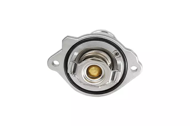 Engine Coolant Thermostat and Housing Assembly - GM (12622316)