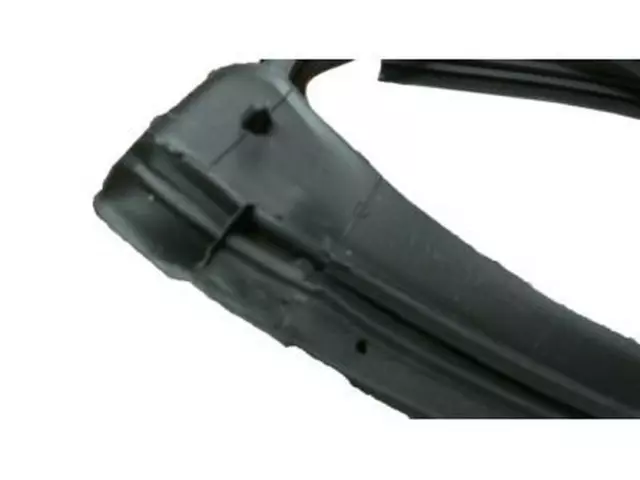 Weatherstrip - Ford (5L3Z-1851223-AA)