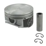 WH831CP - : Engine Piston for SEALED POWER Image