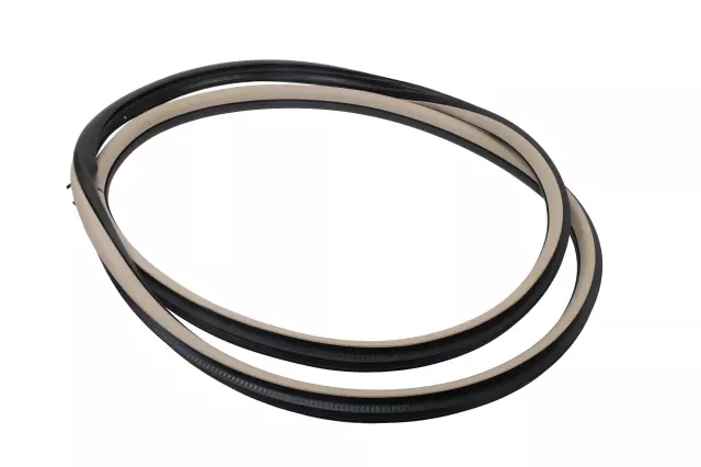 20968722 - Body: Weather-strip On Body for Cadillac: CTS Image