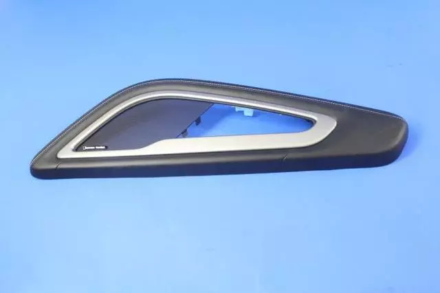 5QZ18YSAAA - Body: Door Armrest for SRT: Viper Image