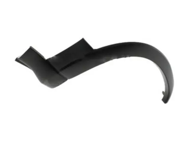 Lower Molding - Ford (3L8Z-16038-AAPTM)