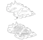 222520320064 - : Noise Capsule for Mercedes-Benz: Maybach S550, S550, S63 AMG Image