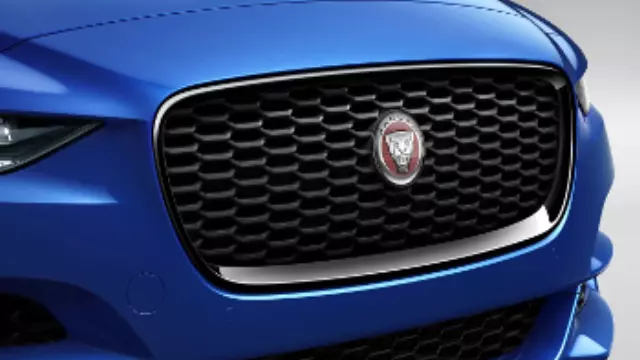 T4N28946 - : Grille - Gloss Black for Jaguar Image