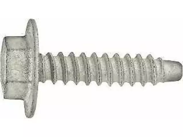 Door Trim Panel Screw - Ford (W704875-S439)