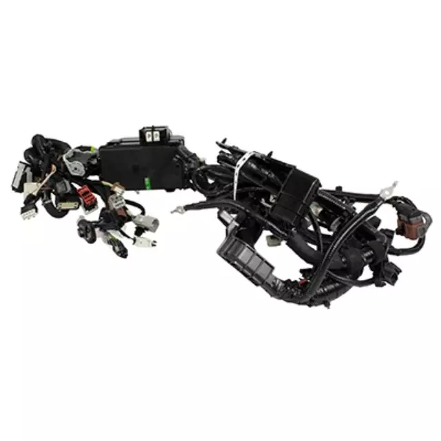 Wiring Assembly - Ford (H2BZ-14A005-BH)