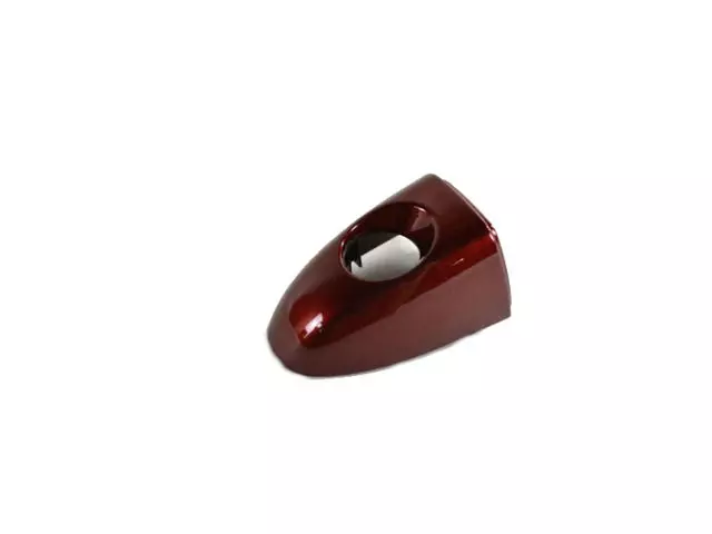 1YB54NRVAC - Doors, Door Mirrors and Related Parts: Door Handle Cap for Chrysler: 200 Image