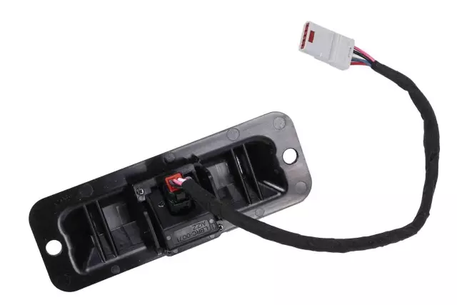 39132206 - : Rearview Driver Information Camera for GM Image
