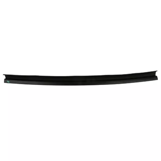 Window Molding - Ford (DT1Z-9929796-H)