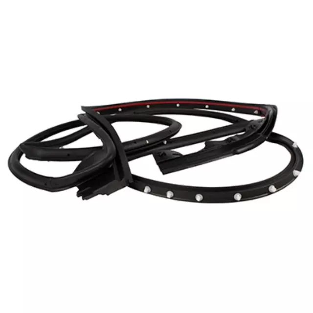 Door Weather-Strip - Ford (FL3Z-1820530-A)