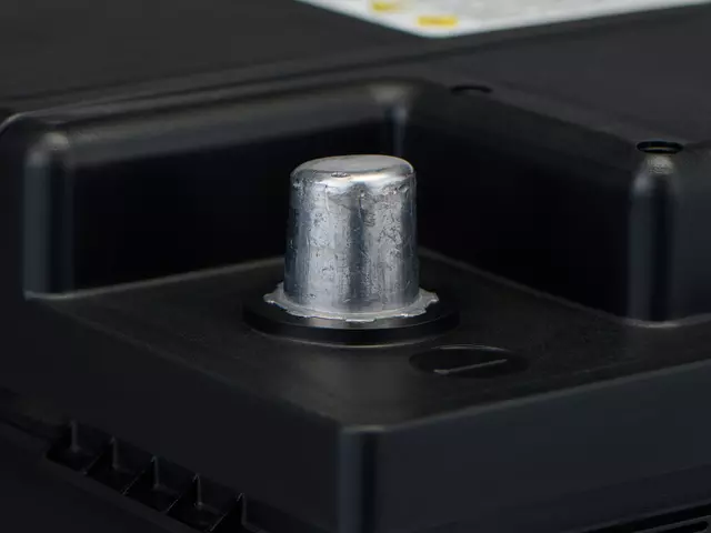 Vehicle Battery - ACDelco (95RS)