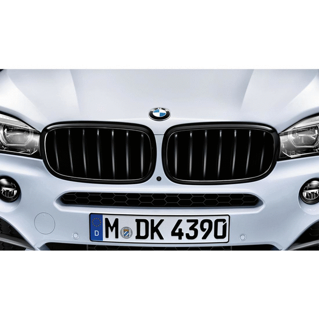BMW M PERFORMANCE GLOSS BLACK GRILLE - LEFT - BMW (51-71-2-354-497)