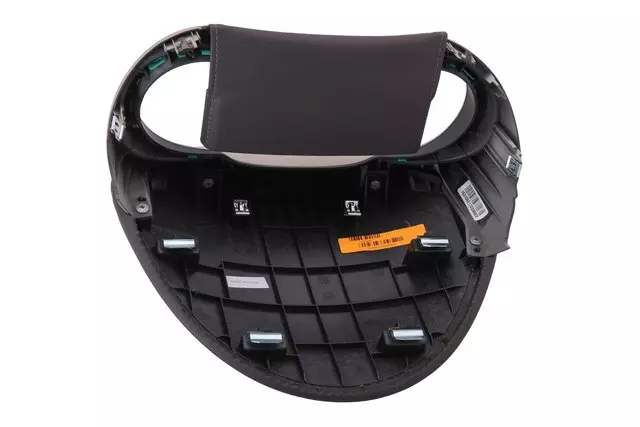 Light Neutral Instrument Cluster Trim Panel - GM (09060980)