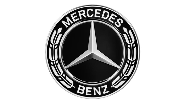 16740159009040 - : Hub Cap, Star With Laurel Wreath for Mercedes-Benz Image
