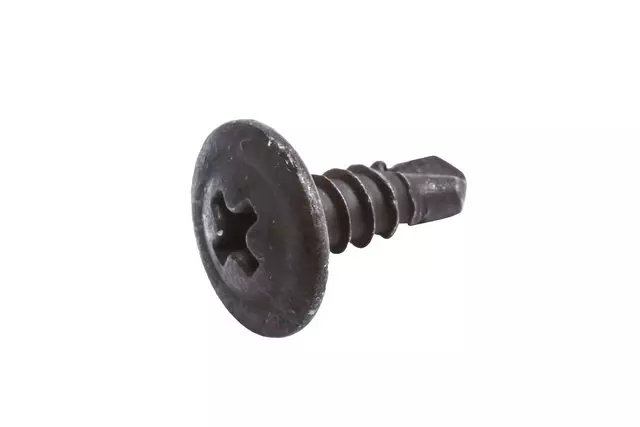 Assist Step Bolt - GM (11548115)