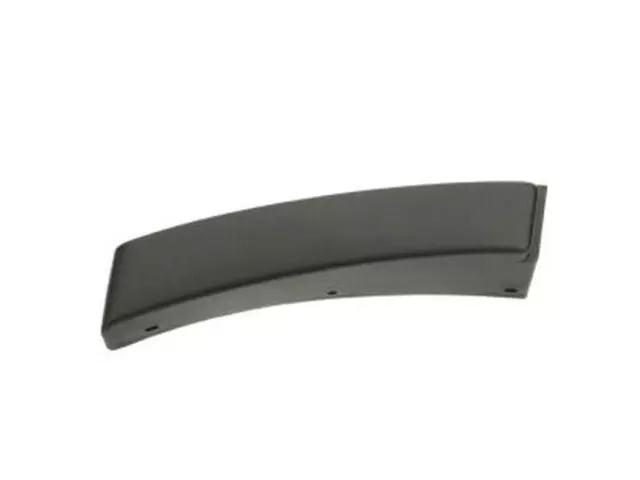 Lower Molding - Ford (YL8Z7829038DAB)