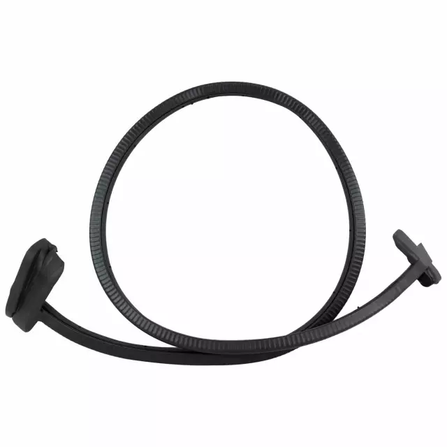 CK4Z1525325F - Body: Door Weather-strip for Ford: E-Transit, Transit-150, Transit-250, Transit-350, Transit-350 HD Image