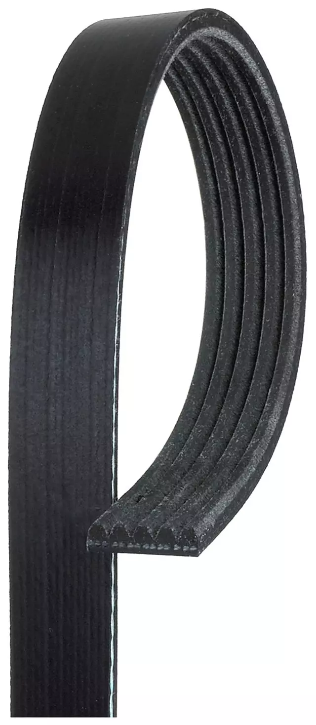 V-Ribbed Serpentine Belt - GM (19368998)