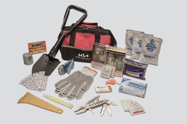 R0F72AU100 - : Severe Weather Kit for Kia: Cadenza, Carnival, EV6, EV9, Forte, K4, K5, K900, Niro, Niro EV, Optima, Rio, Sedona, Seltos, Sorento, Soul, Soul EV, Sportage, Stinger, Telluride Image