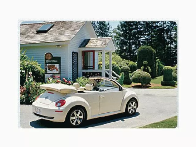 Convertible Top Stowage Compartment Lid - Volkswagen (1Y0-871-041-D-A64)