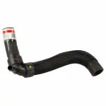 KM5177 - : Motorcraft™ Radiator Coolant Hose for Ford: Fusion Image