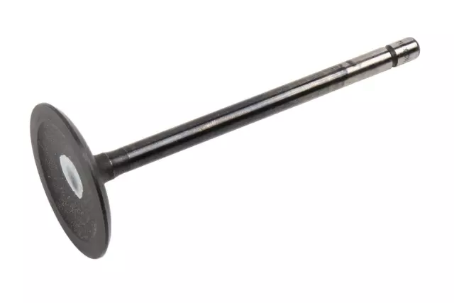 Intake Valve - GM (12610931)