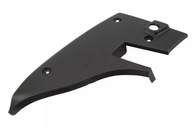 Driver Side Tail Lamp Trim Panel - GM (84070693)