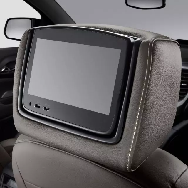Headrest and Video Screen Assembly - GM (84690254)