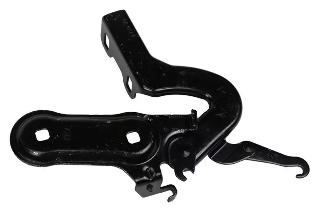 25928041 - Body: Hinge for GM Image