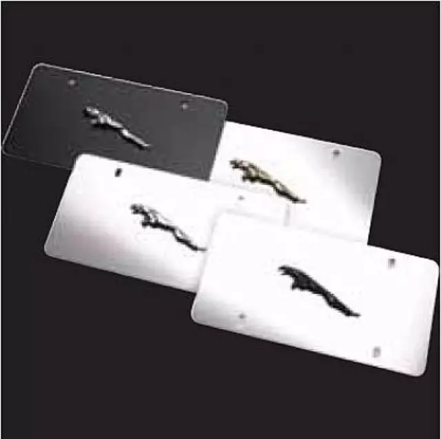 C2A1179 - Exterior: License Plate Frames - Slimline/Gold for Jaguar Image