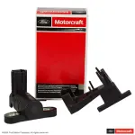 DY888 - : Motorcraft™ Engine Crankshaft Position Sensor for Ford: Escape, Focus, Ranger, Transit Connect | Mercury: Mariner Image