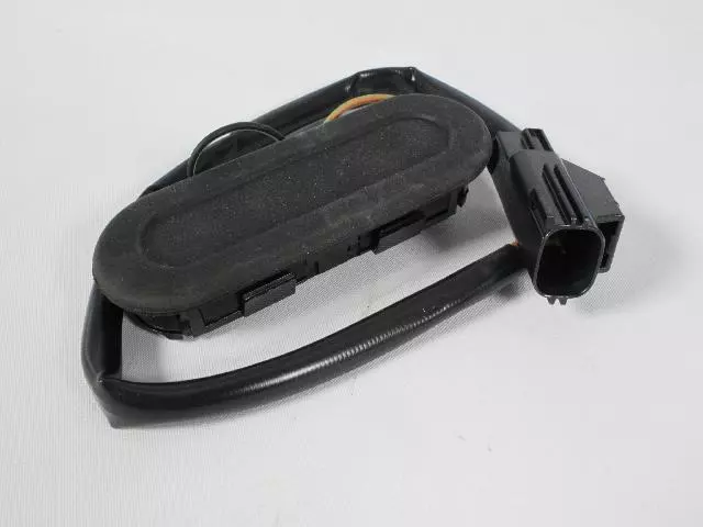 5102338AC - Electrical: Lift-Gate Release Switch for Chrysler: Pacifica | Dodge: Magnum Image