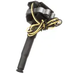 GN10890 - : Ignition Coil for DELPHI Image