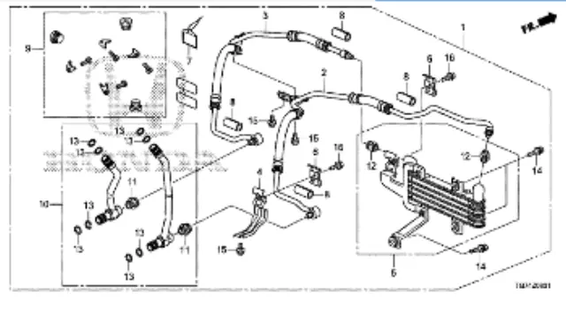 62555EZ316 - Trailering: Trailer Accessory for Honda: Passport, Pilot Image