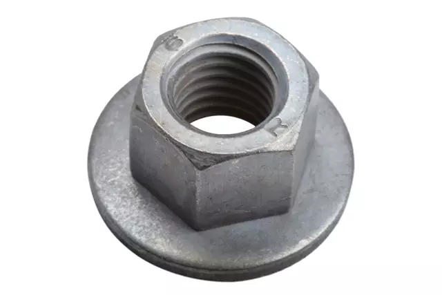 F (S)Nut - GM (19405128)