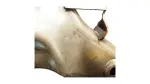 48069AK010 - Suspension: Lower Control Arm for Toyota Image